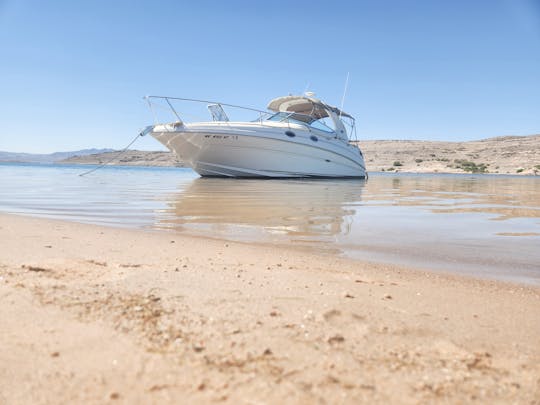 Unleash Adventure: alquiler de un lujoso barco Sun Dancer 280 en el lago Mead