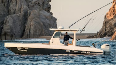 Maravilhe-se com as memórias | Fountain 31 Sportfish Cruiser