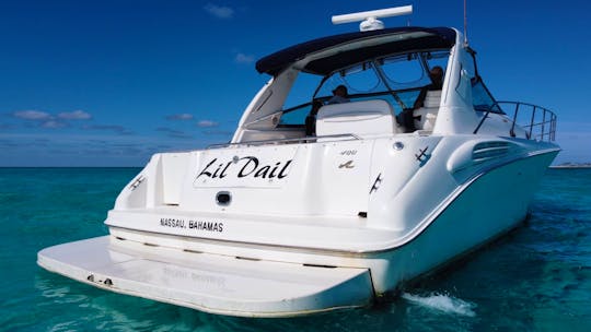 Day charter around Nassau with lunch and unlimited Bahamian rum punch