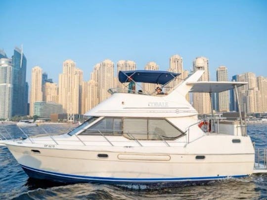 41ft Adagio Motor Yacht (12 Pax)