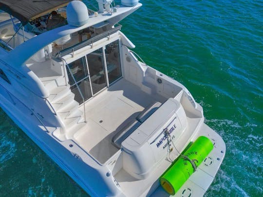 ¡Disfruta de Miami en un SEA RAY FLY de 51 pies! 🌊🌊 CON 30 MINUTOS DE VIAJE GRATIS TODOS LOS DÍAS 🚤