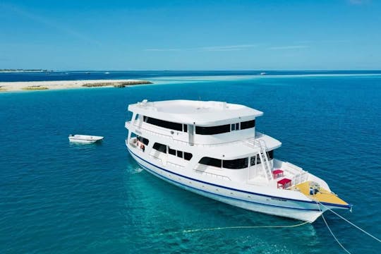 Bateau de croisière abordable : croisières privées pour le surf, la plongée et des voyages personnalisés