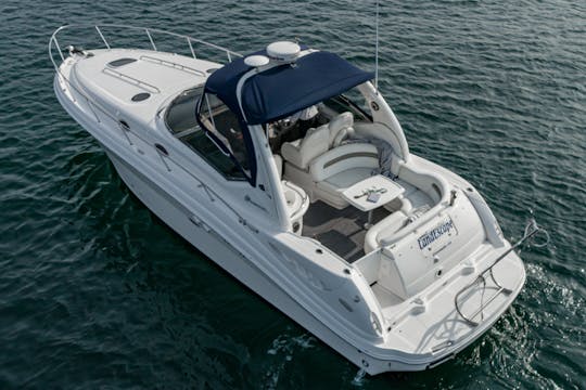 Bay Cruiser Sea Ray de 34 pies 