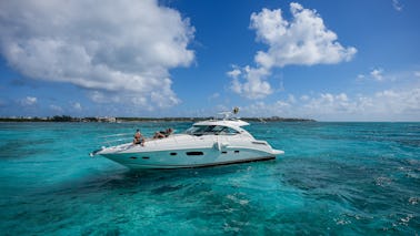 Sundancer 47ft Motor Yacht to Visit Isla Mujeres!!