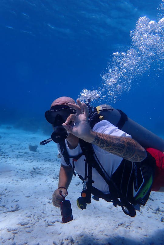 2 Tank Boat Dive on Bonaire's Underwater Paradise in the Caribbean Netherlands!