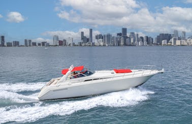 SEA RAY 55' PRIVATE YACHT! GET 1HR FREE MONDAY-THURSDAY!