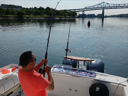 Faites une croisière ou pêchez dans le port de Boston et ses environs avec le meilleur capitaine de Boston