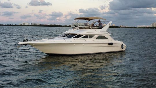 Sea Ray 440 Express Bridge Yacht for cruise in Cancun