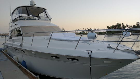 52ft Custom Motor Yacht for Charter in Cabo San Lucas