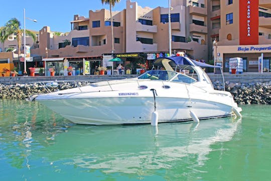 Yacht à moteur Sea Ray Sundancer de 32 pieds