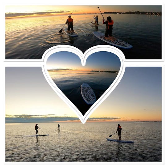 Enjoy an amazing Eco SUP Tour in Brisbane