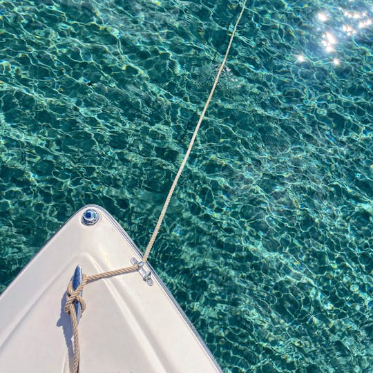 Bem-vindo a bordo da melhor experiência de navegação em Palm Beach