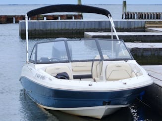 Aproveite a Great South Bay! 2021 Sting Ray 191DC