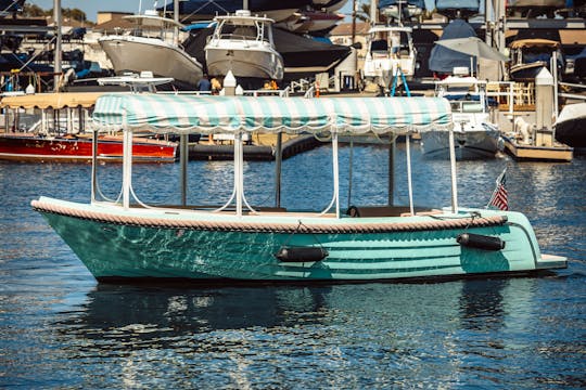 Barco a motor Lago Amore de 19 pés