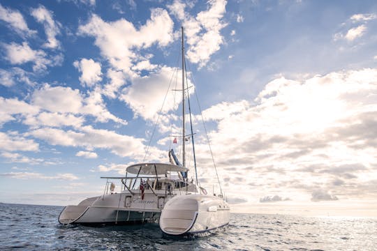 Aluguel de fonte de vela de catamarã Pajot Bahia 46 em Amarilla Golf, Canárias