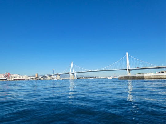 (Shortly hours) Osaka Bay Charter Boat Fishing- Compatible from a short time Osaka Bay Private Fishing Charter 