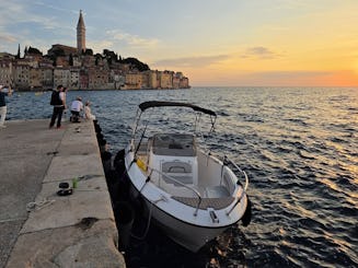 Excursions privées avec les dauphins avec un nouveau bateau de 19 pieds Karnic au départ de Rovinj — Delfin 