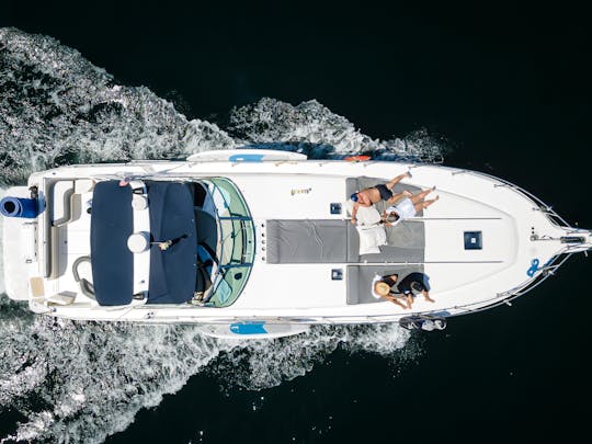 ANDALE | Magnifique yacht SeaRay Express de 55 pieds, passez une journée parfaite à PV. 