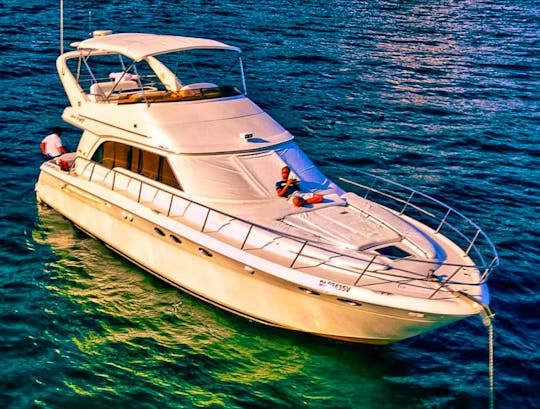 Luxury Sea Ray 48ft Yacht & Sportfishing