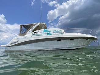 Yate Four Winns de 35 pies para cruceros chárter en el lago Ontario (3 horas como mínimo)