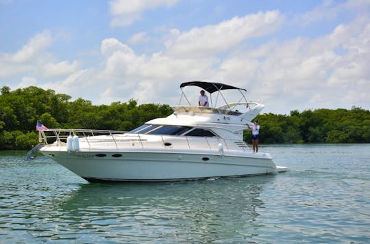 Amazing Flybridge in Cancun and Isla Mujeres