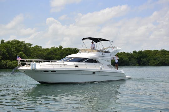 Amazing Flybridge in Cancun and Isla Mujeres