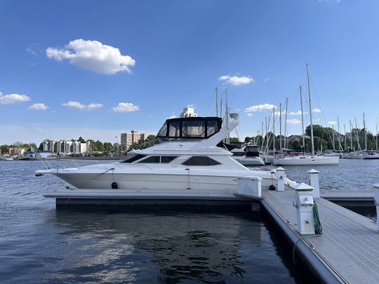 Iate de festas Sea Ray 440 Express Bridge em Toronto