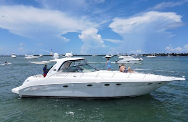 🐬 Enjoy Miami in  Huge SeaRay  55' - Best Yacht Experience 💕