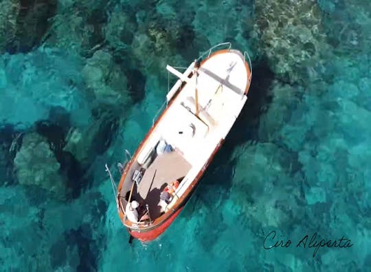 カプリ島発カプリプライベートボートツアー