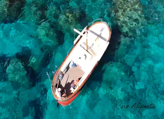 Capri Private  Boat Tour from Capri