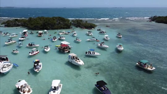 Sea Ray Sundancer 28' para hasta 8 invitados en Lajas