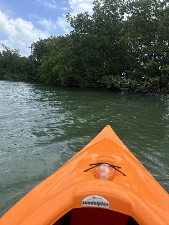 Alquiler de kayaks para dos personas en Miami Beach