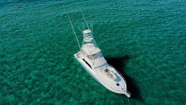 Elite 60' Bertram Charter – Big Game Fishing in Florida