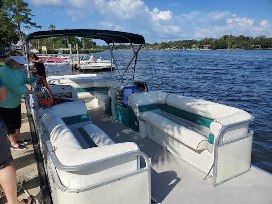 Scalloping Season July 1 through Aug 6