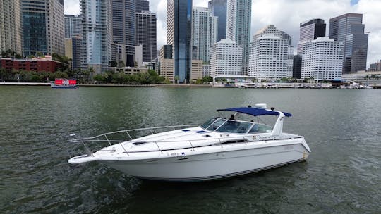 Rent this beautiful 40ft Sea Ray Sundancer Motor Yacht