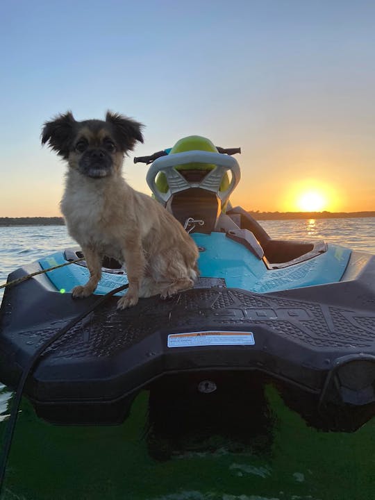 Aluguel de jet ski Sea Doo Spark 2022 em Belton, Texas #2