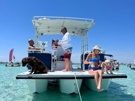  CRAB ISLAND / Dolphins / Paddleboard ADVENTURE via a Private Captained Pontoon