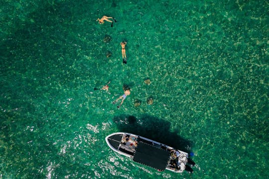 Visite de l'allée Hol Chan et Shark Ray au Belize