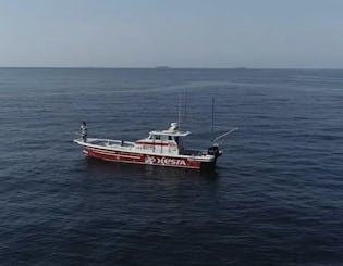 伊豆の静かな海での海岸釣り。獲れたての新鮮な魚を持ってきて、ここで食事をしましょう！