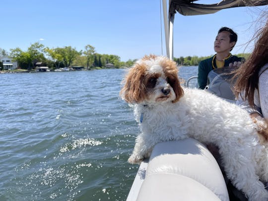 Bateau ponton sur le lac Tichigan Waterford (30 minutes de MKE), pas de tubing, min 3 heures