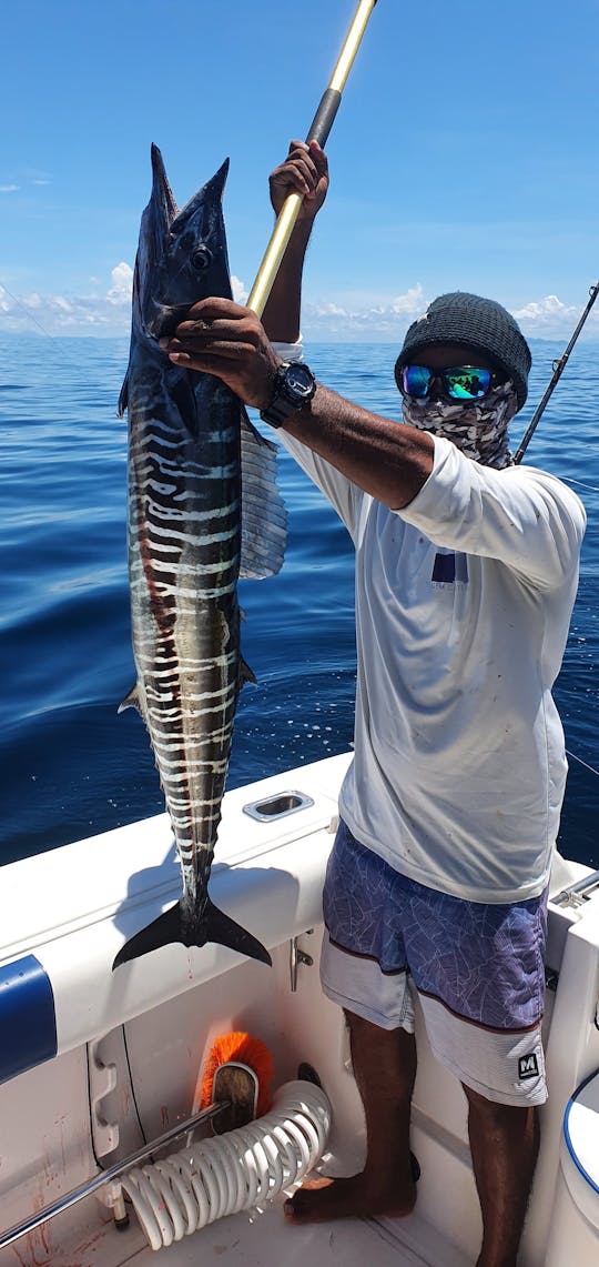 Fishing charter in a 46' private yacht Panama City,  Panama 