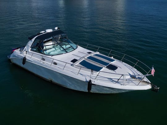 Profitez de Miami à bord d'un yacht à moteur Sundancer de 44 pieds ! ! !