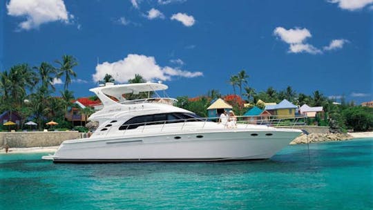 "Rogue One" Yacht Charter in Ft. Lauderdale, FL