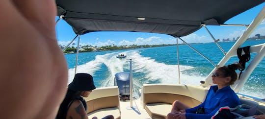 Chaparral Suncoast Tubing Wakeboarding Snorkeling and Cruises