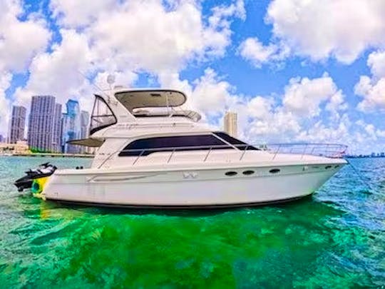 Enjoy Miami : Sea Ray 52 Yacht - Big Discounts! Inquire Now for the Best Deal!