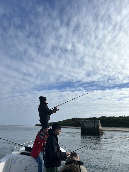 Fishing in Rio Sado Setúbal