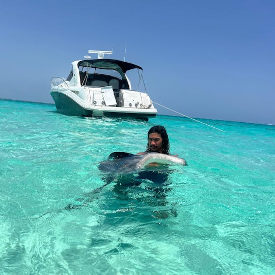 Your perfect day on our 380 Searay, in the Cayman Islands,