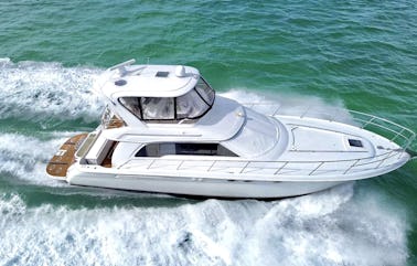Sea Ray Sedan Bridge 52'