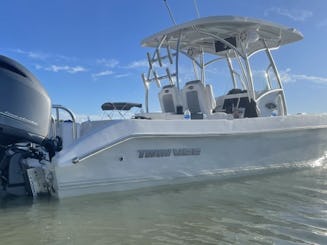 26ft Twin Vee PowerCat