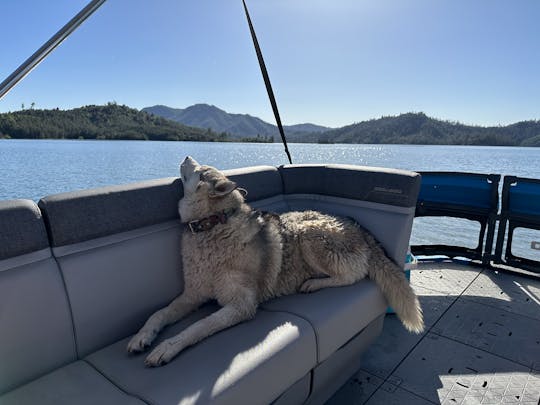 Sea-Doo Switch on Beautiful Lake Shasta